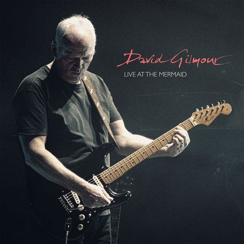 Vinile david gilmour live - david,